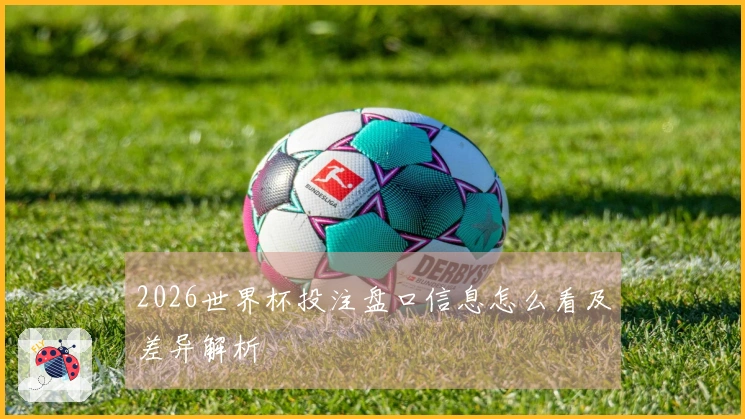 2026世界杯投注盘口信息怎么看及差异解析