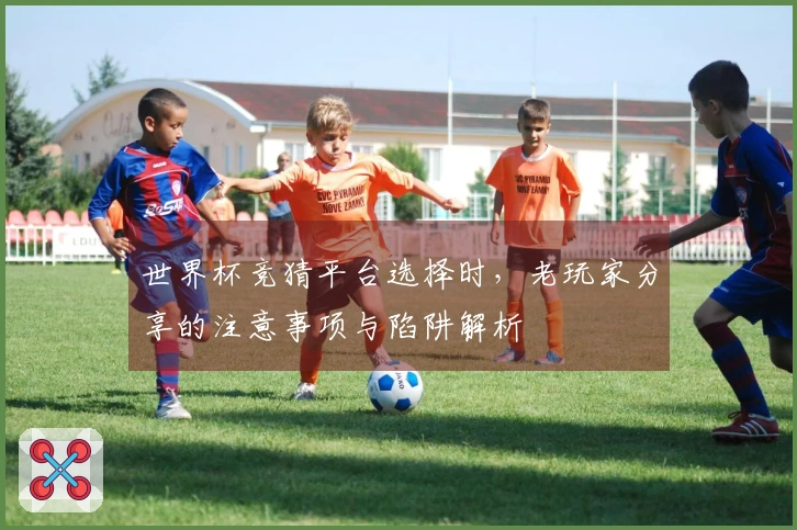 世界杯竞猜平台选择时，老玩家分享的注意事项与陷阱解析