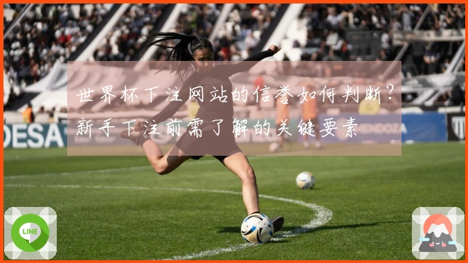 世界杯下注网站的信誉如何判断？新手下注前需了解的关键要素
